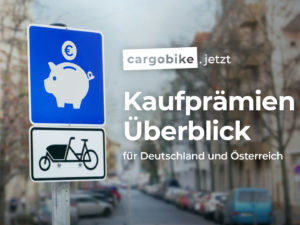 grafik cargobike förderung