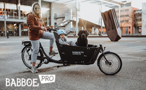 Das City Cargobike für Familien