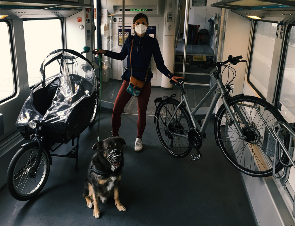 Mit Hund, Lastenrad und Bahn den Elberadwegweg entlang