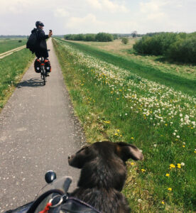 Auf Goethes Spuren: Mit Hund, Lastenrad und Bahn den Elberadweg entlang