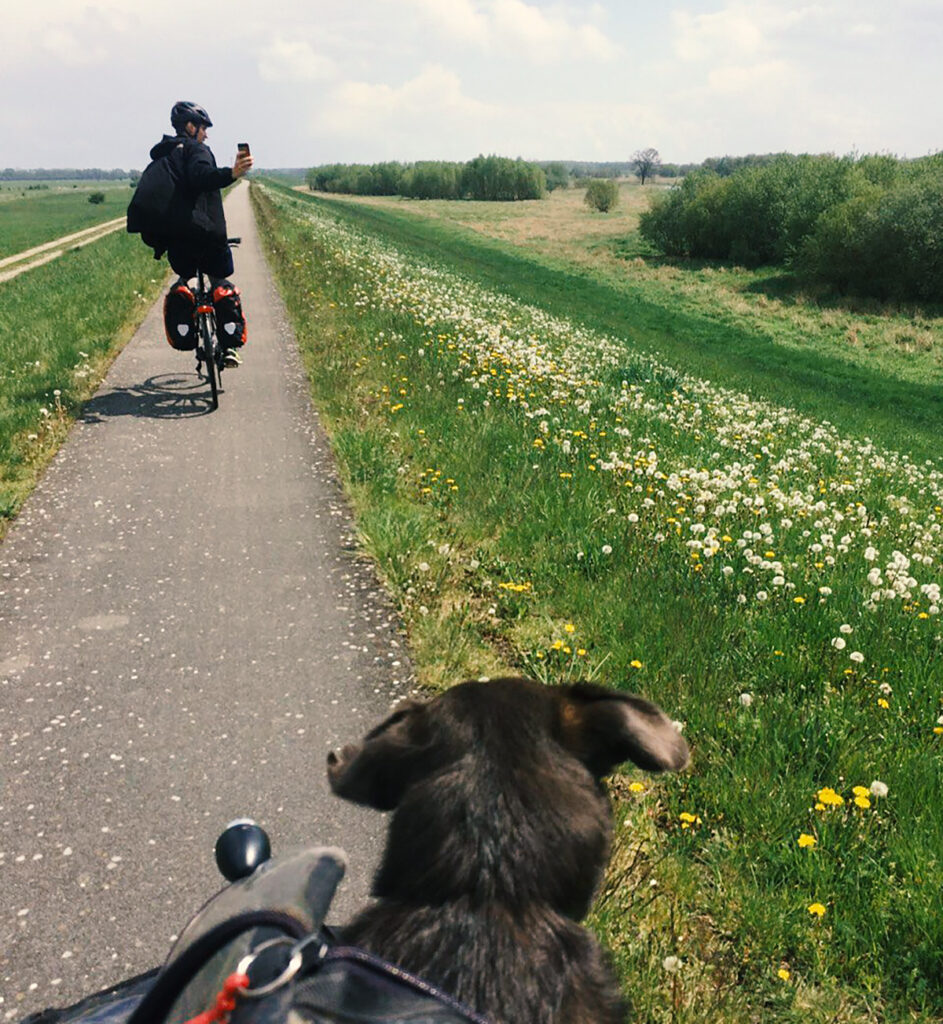 Mit Hund, Lastenrad und Bahn den Elberadwegweg entlang