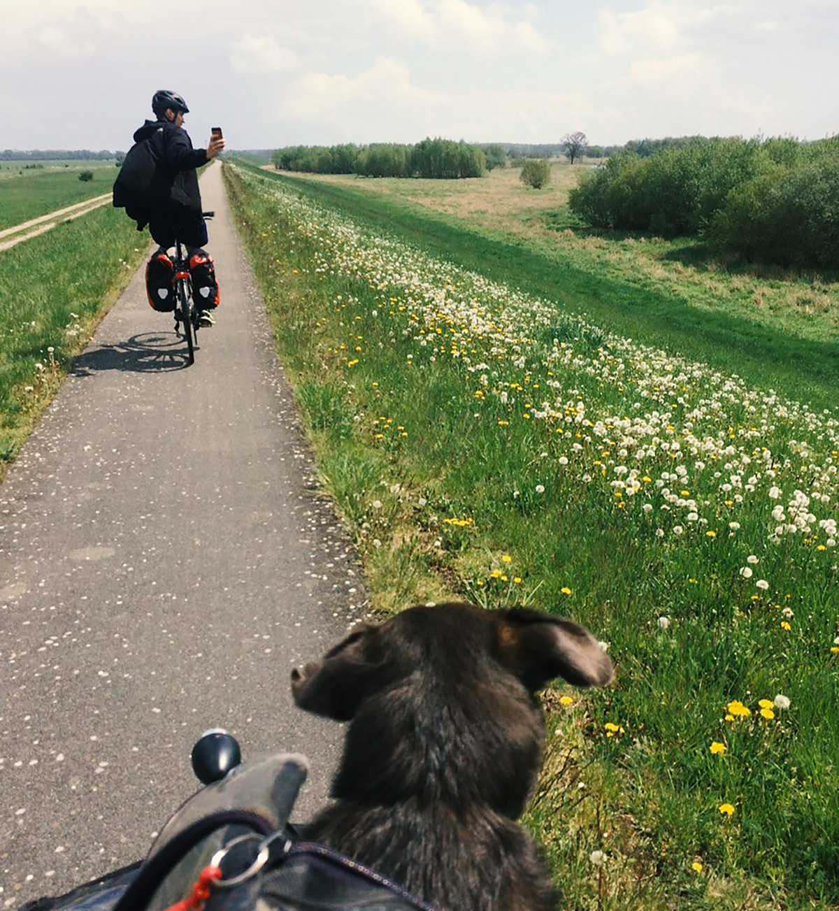 geteilter fahrradsattel MTB Fahrradsattel – Forrider main image 0