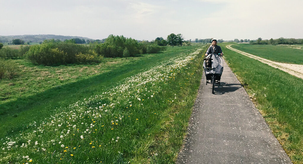 Mit Hund, Lastenrad und Bahn den Elberadwegweg entlang