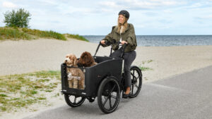 Cargobike of Sweden: Keep it simple – and reliable!